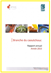 Rapport annuel de branche - année 2015